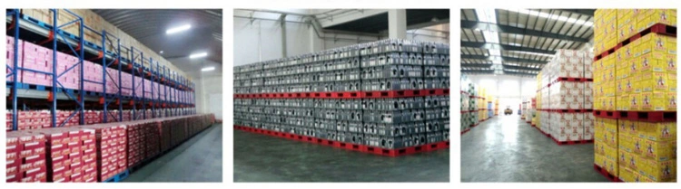 Pallet 1210 HDPE Recycled Plastic Adaptable, Storage System Collapsible Containers for Manufacturing Industrial Plastic Pallet