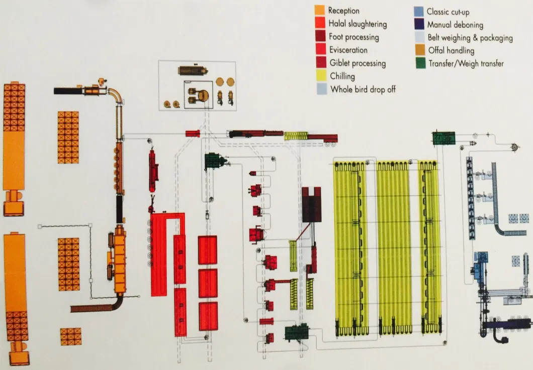 Zhongda Brand Finished Full 3000 Chicken Per Hour Slaughter Machine Line Installed Line in Dubai