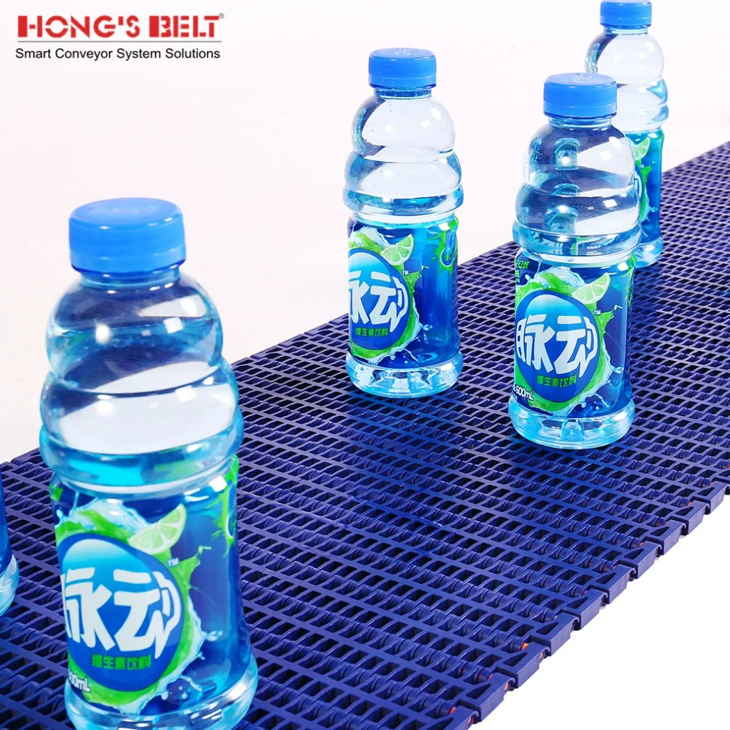 Hongsbelt Modular Short Belt Conveyor Food Plastic Modular Conveyor Belt