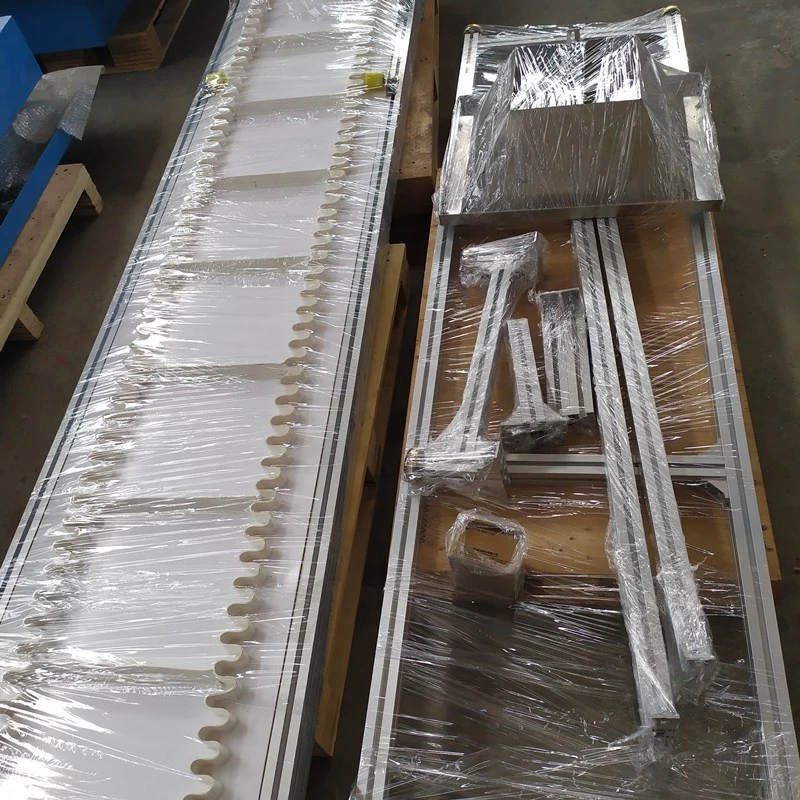 OEM High Quality Plastic Flexible Conveyor Chains with Competitive Price