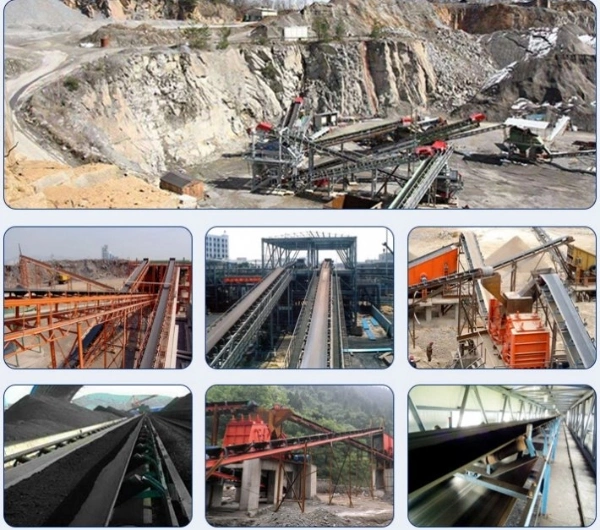 Hot Sale Fixed Belt Conveyor for Mining Project