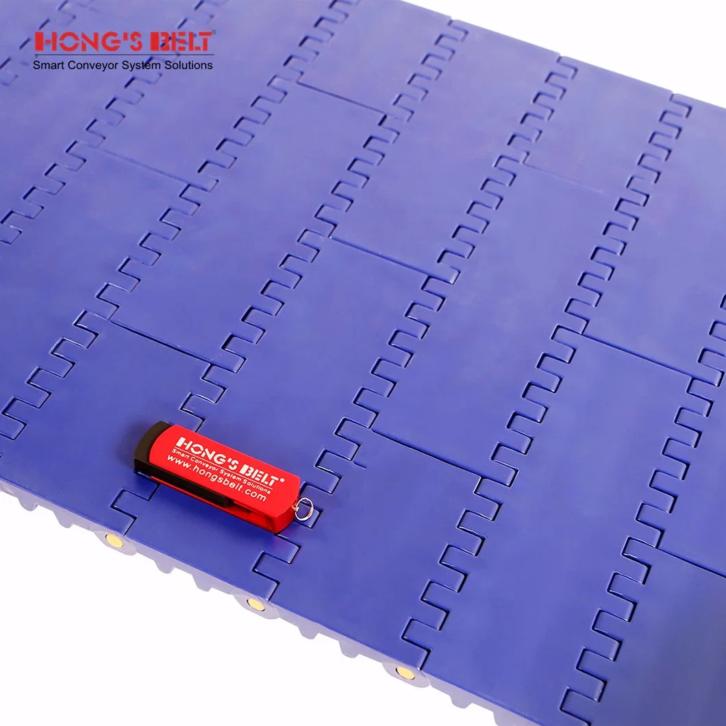 Hongsbelt Hot Sale Conveyor Modular Belt Flat Top Modular Belt