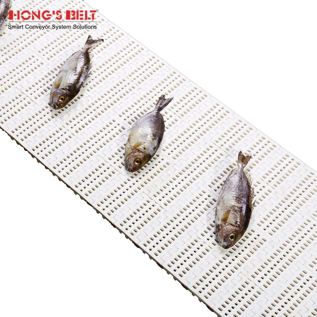 Hongsbelt HS-100b Easy Clean Flush Grid Modular Plastic Conveyor Belt for Sea Food