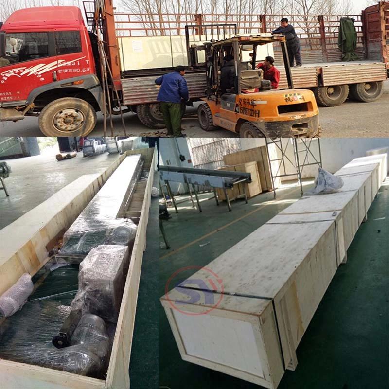 Automatized Roller Platform Pallet Conveyer for Tyre Tire