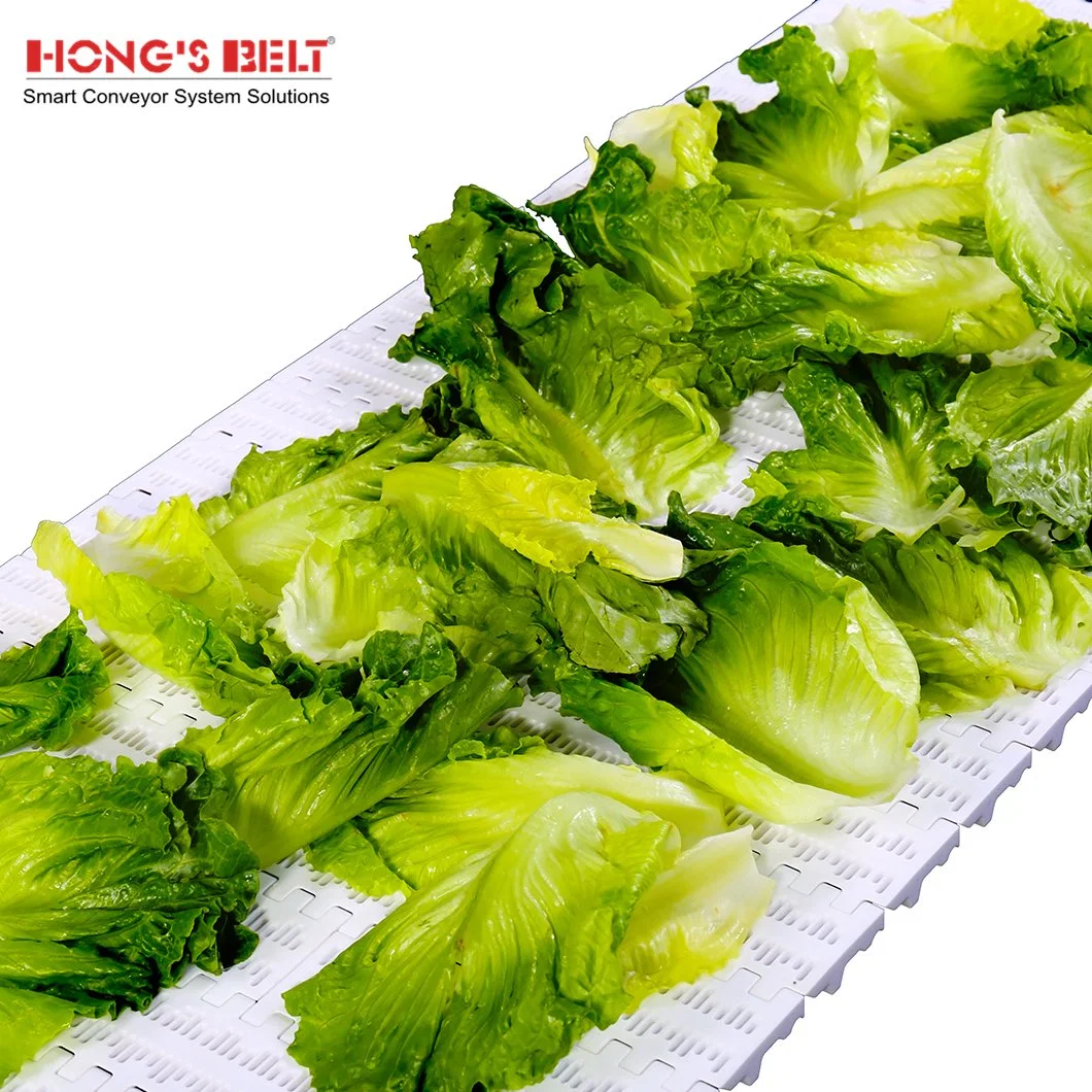 Hongsbelt Conveyor Components Modular Conveyor Belts Plastic for Intralox Series 800 Perforated Flat Top for Seafood Industry