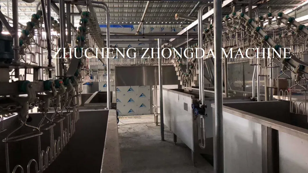 Big Capacity of Duck Slaughter Machine Line -Scalding and Neck and Body Feather Removal Processing