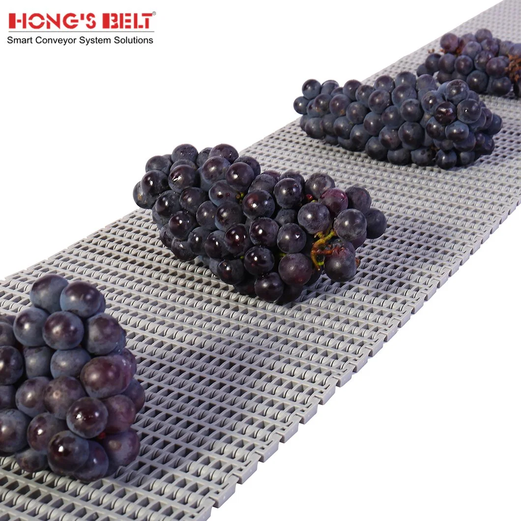 Hongsbelt Easy Clean Antibiotic Conveying Flush Grid Modular Plastic Conveyor Belt for Food