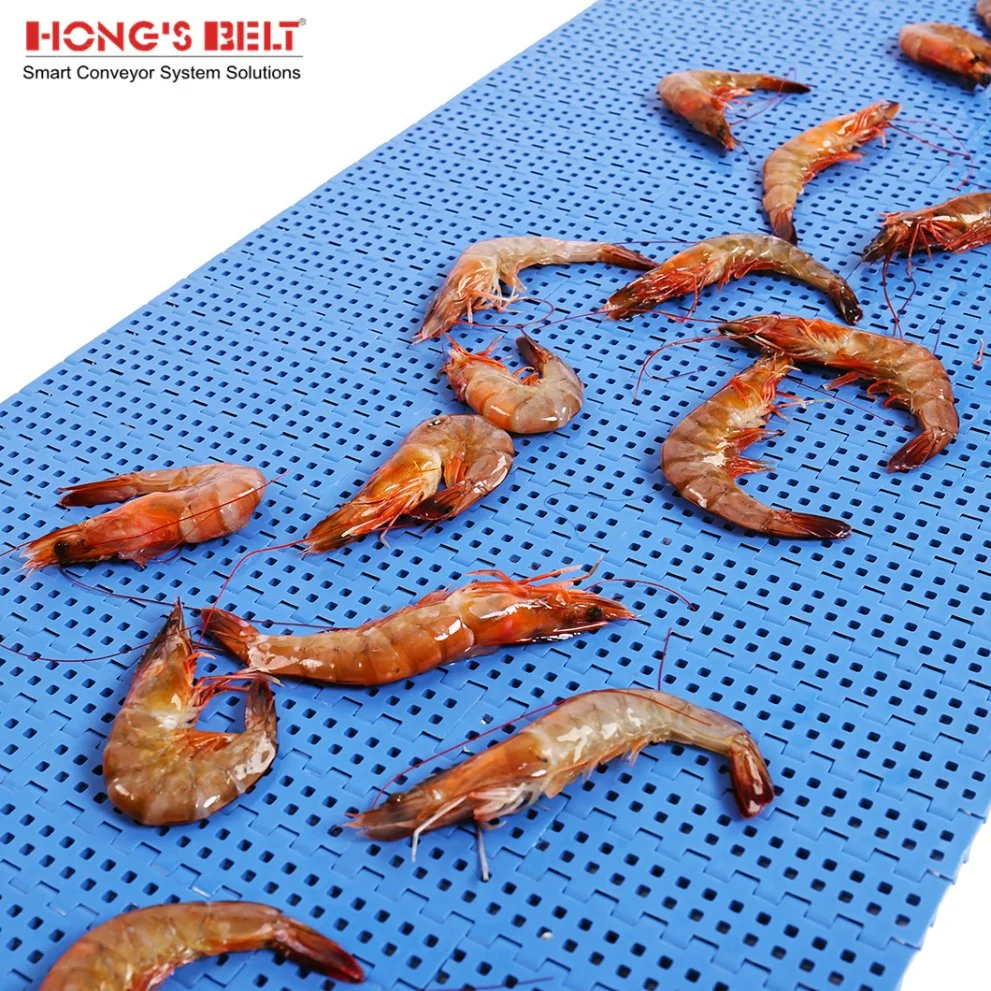 Hongsbelt Easy Clean Fruit Conveying Flush Grid Modular Plastic Conveyor Belt for Food
