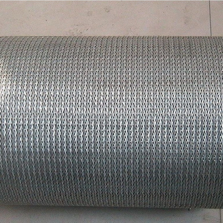 Conveyor Belt/Wire Mesh Belt/ Flex Flat Belt/Galvanized Wire Belt