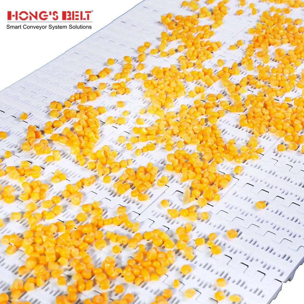 Hongsbelt Perforated Flat Top Modular Plastic Conveyor Belt for Fruit and Vegetable Processing