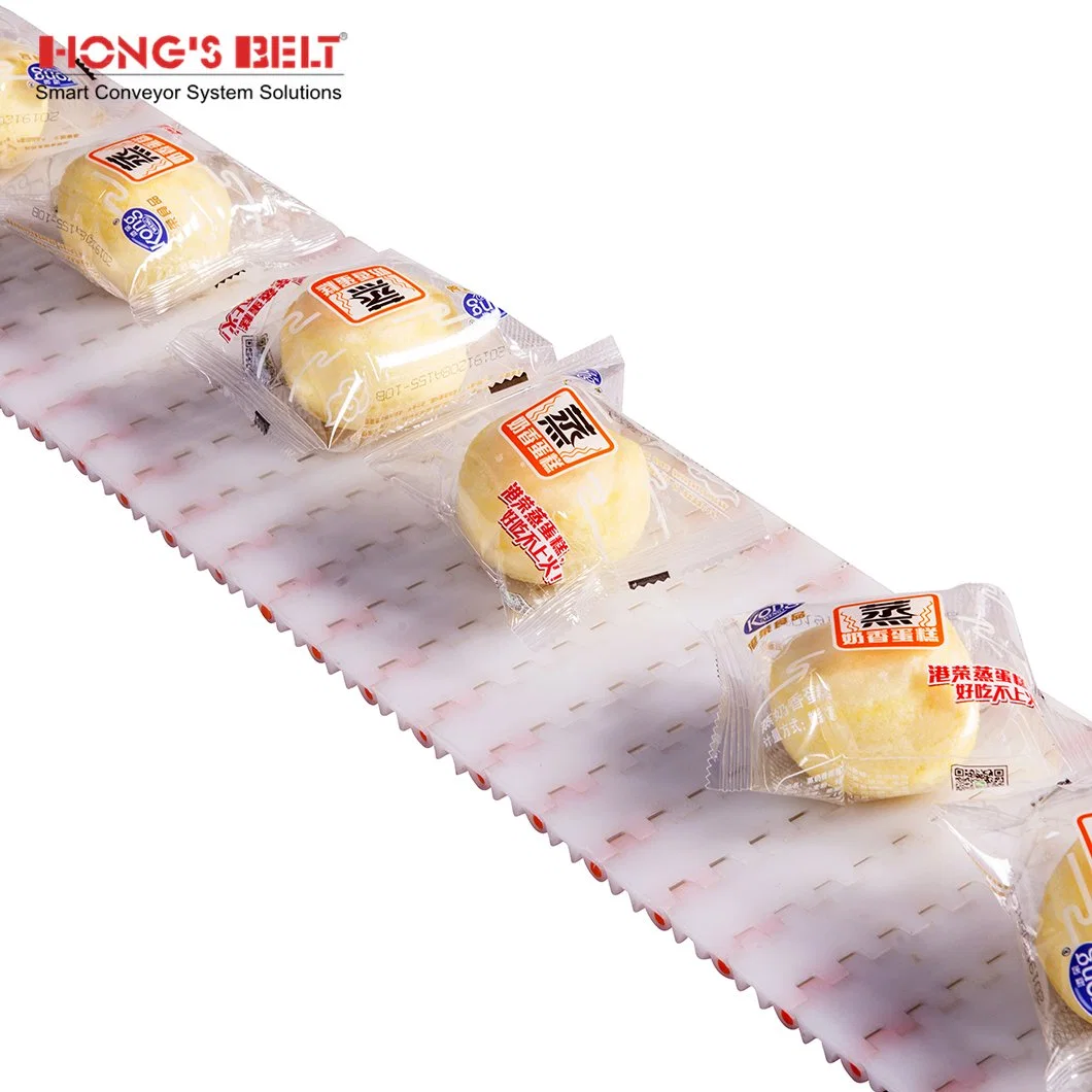 Hongsbelt HS-200A Easy Clean Snack Conveying Flat Top Modular Plastic Conveyor Belt for Food