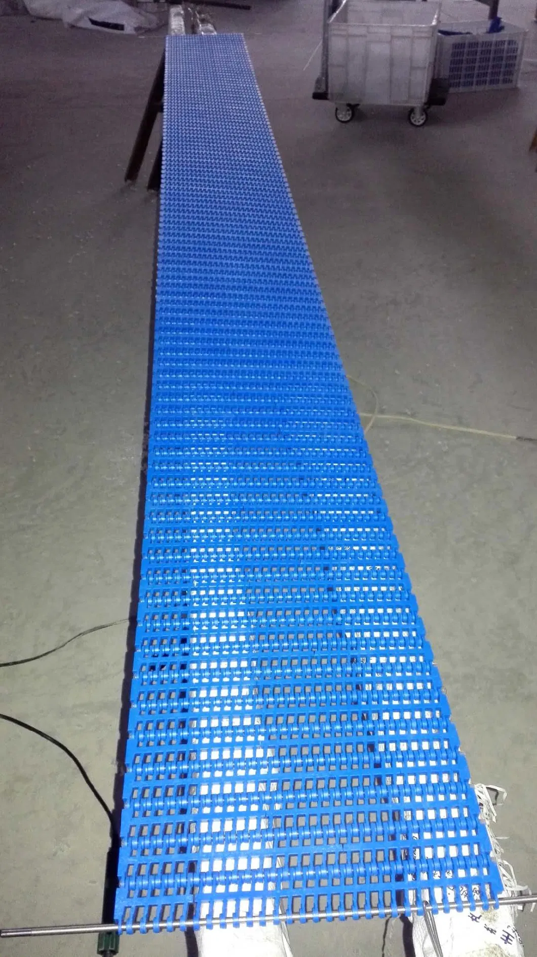 Easy-to-Clean Plastic Conveyor Belts with 27.2mm Pitch