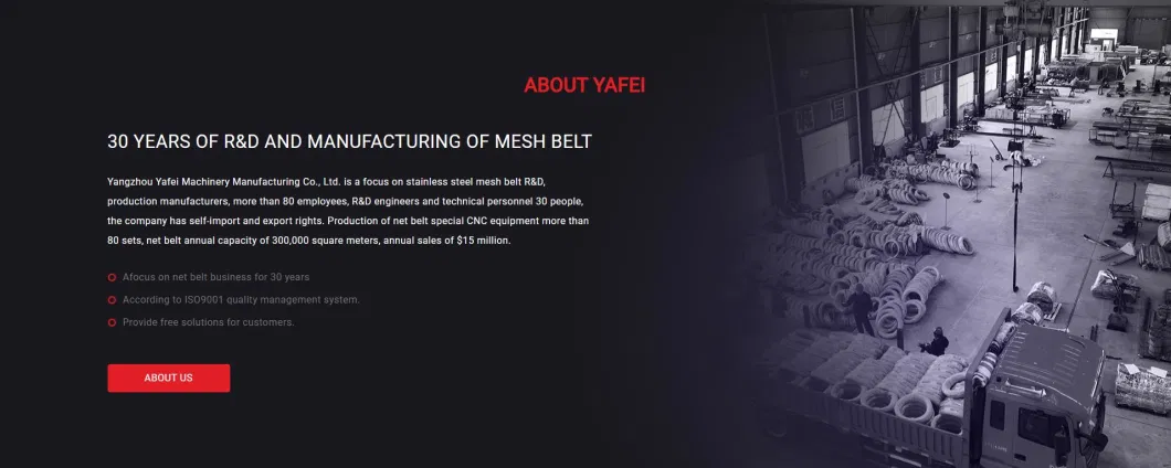 Balanced Metal Stainless Steel Mesh Belt Manufacturers