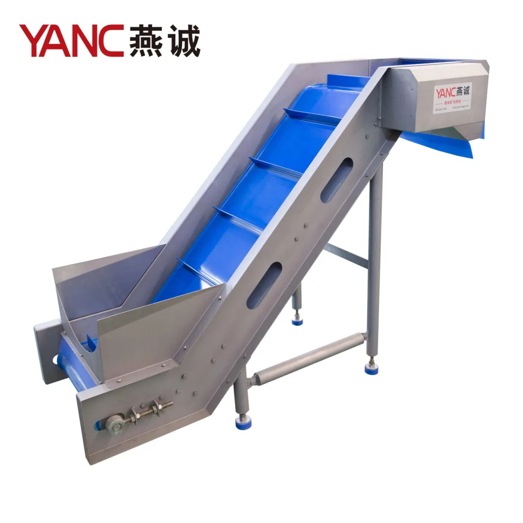 Yc-Ts150 Vegetable Washing Transporting Inclining Belt Conveyer