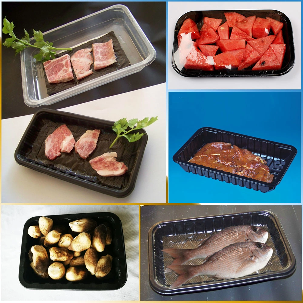 Disposable Black Plastic Meat Tray/ Frozen Food Tray Packaging