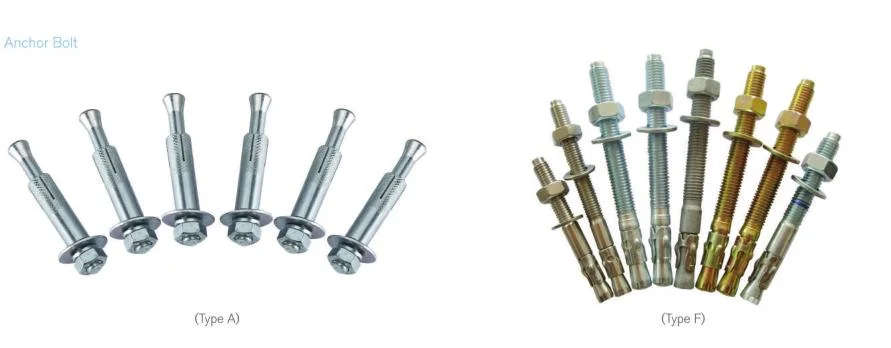 Elevator Shaft Components for Lift Stainless Steel Anchor Bolt