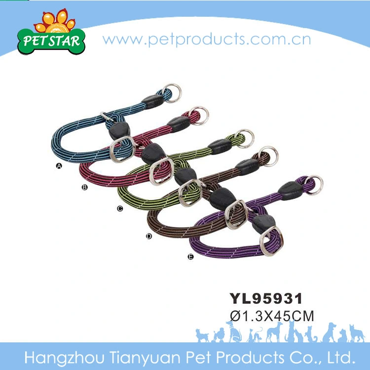 Eco-Friendly Hot Selling Nylon Dog Leash Slip Collar (YL95931)