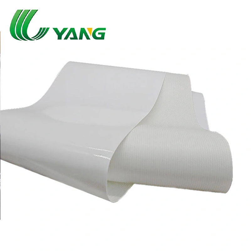 Heat/Cold/Ozone Resistance Food Grade White Silicon Conveyor Belt for Fruit Industry