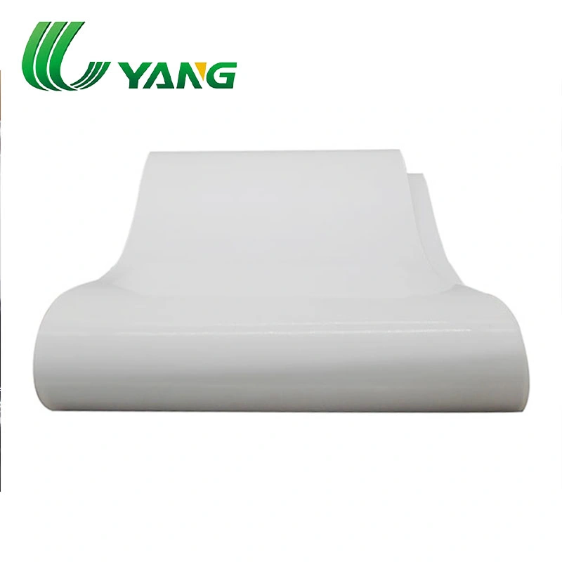 Heat/Cold/Ozone Resistance Food Grade White Silicon Conveyor Belt for Fruit Industry