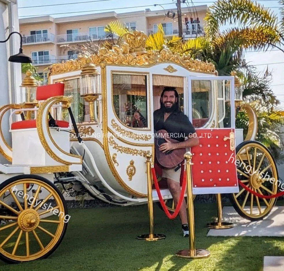 High Quality Fairytale Deluxe Wedding Special Transport Horse Carriage