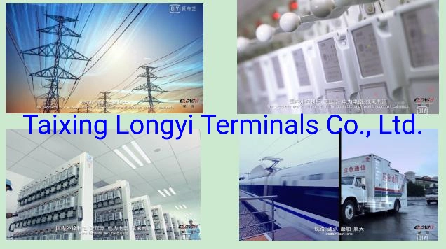 The Best Terminal Connection Terminal, Copper, Tinned Surface, Suitable for Different Equipment, Product Specifications From Small to Large.