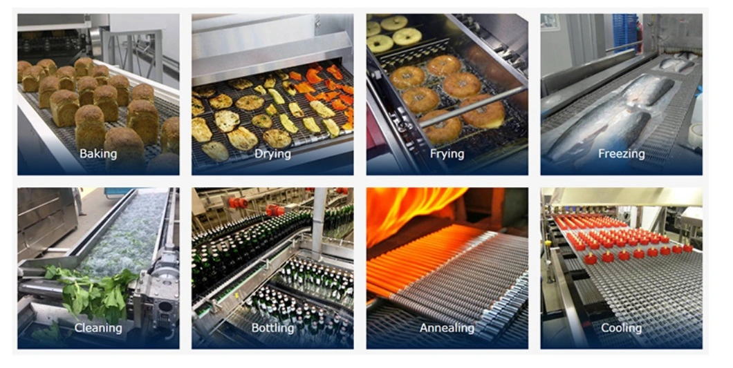 Quality Assurance Food Grade Small Pitch Plastic Modular Conveyor Belt