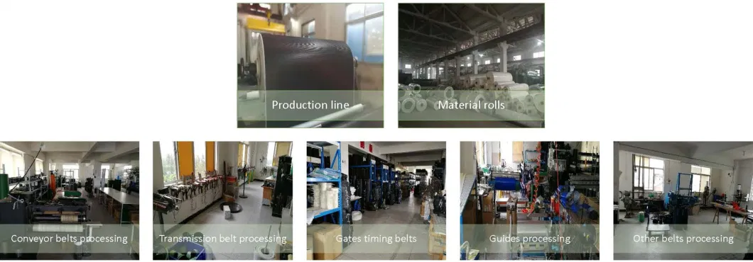 Paper Making Machine Factory Tire Ep Fabric for Conveyor Belts Conveyor Belt Manufacturer