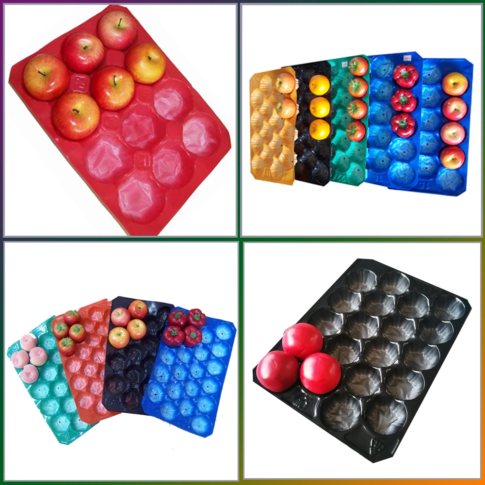 Disposable Black Plastic Meat Tray/ Frozen Food Tray Packaging