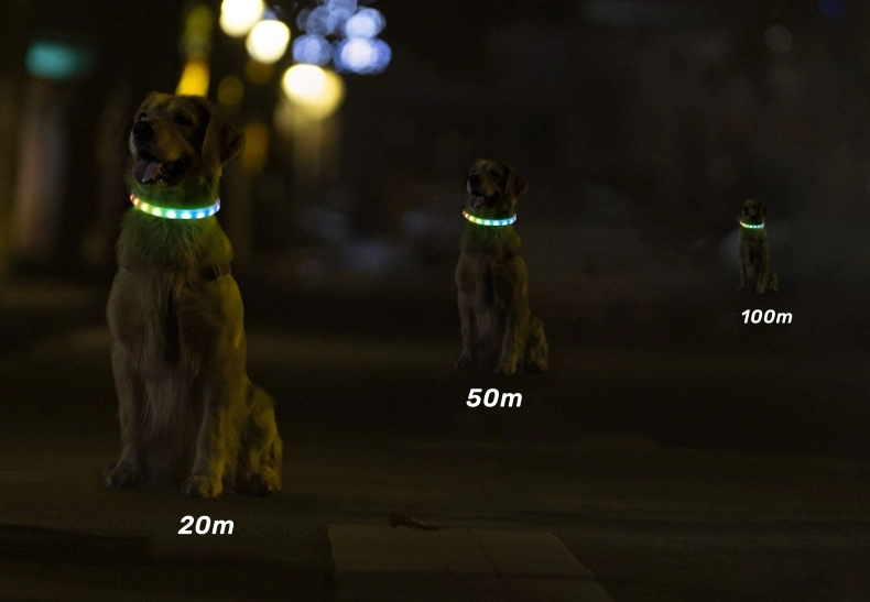 Customizable Waterproof Adjustable Rechargeable LED Flash Pet Dog Collar