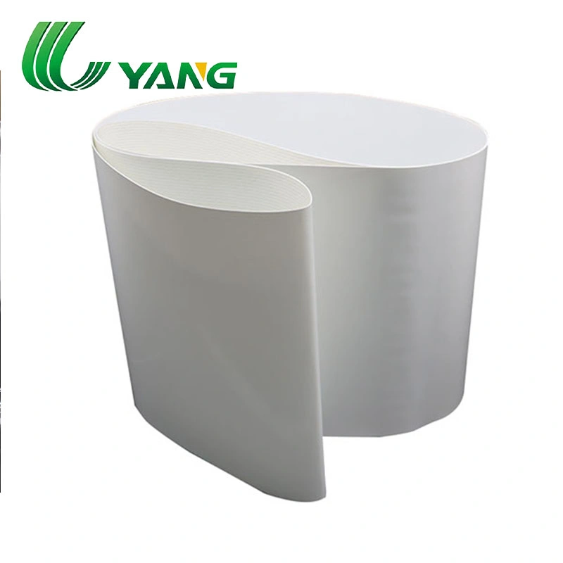 Heat/Cold/Ozone Resistance Food Grade White Silicon Conveyor Belt for Fruit Industry