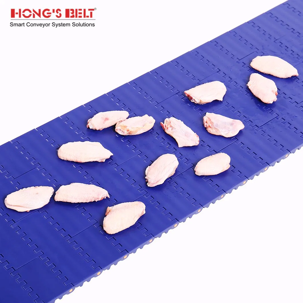 Hongsbelt HS-100A Easy Clean Flat Top Modular Plastic Conveyor Belt for Food