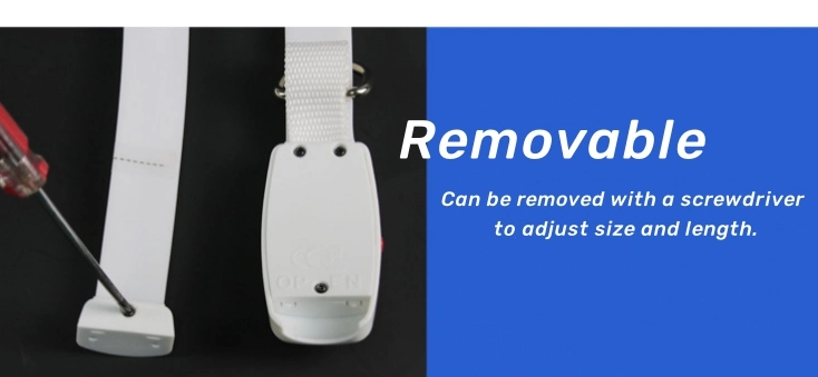 Wholesale Manufacturing Adjustable USB Charging LED Light Waterproof Dog Collar
