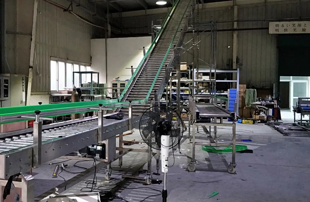 Food Conveyor Ss 304 Roller Chain Driven Belt for Instant Noodle Conveyor