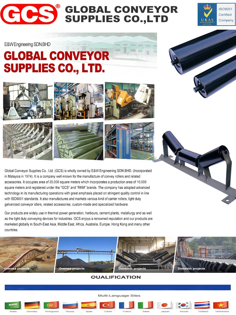 Belt Conveyor Line Guide Roller Side Wing Roller for Conveyor System