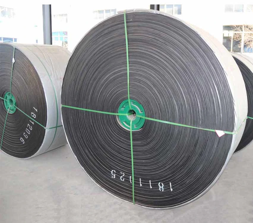 Industrial Nylon Conveyor Belt with Low Price