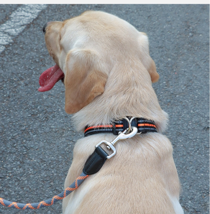 Pet Supplies Big Dog Collar Double D Ring Dog Collar