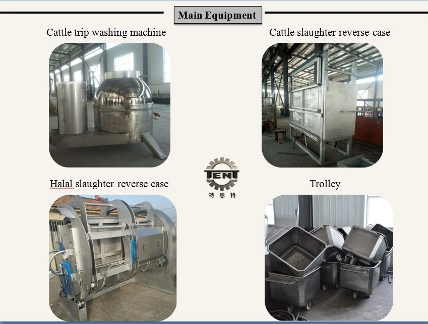 Cattle Bovine Beef/Slaughtering Equipment/Food Machine