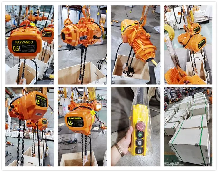 Strong Transporting Electric Chain Hoist with Low Price