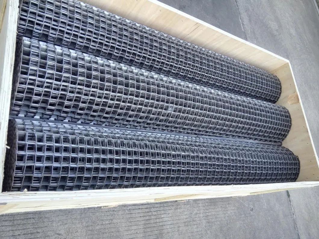 Stainless Steel Flat Wire Conveyor Belt for Transporting Food