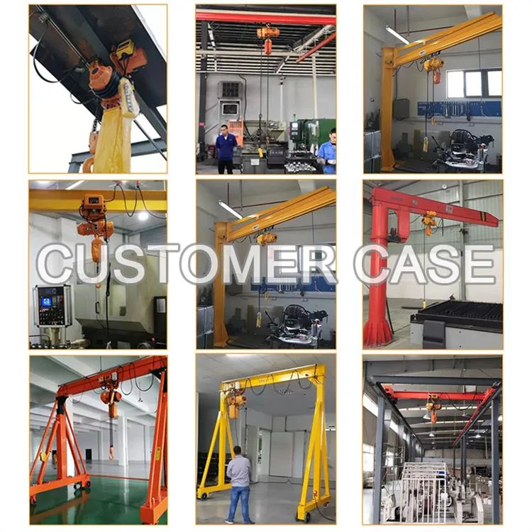 Strong Transporting Electric Chain Hoist with Low Price