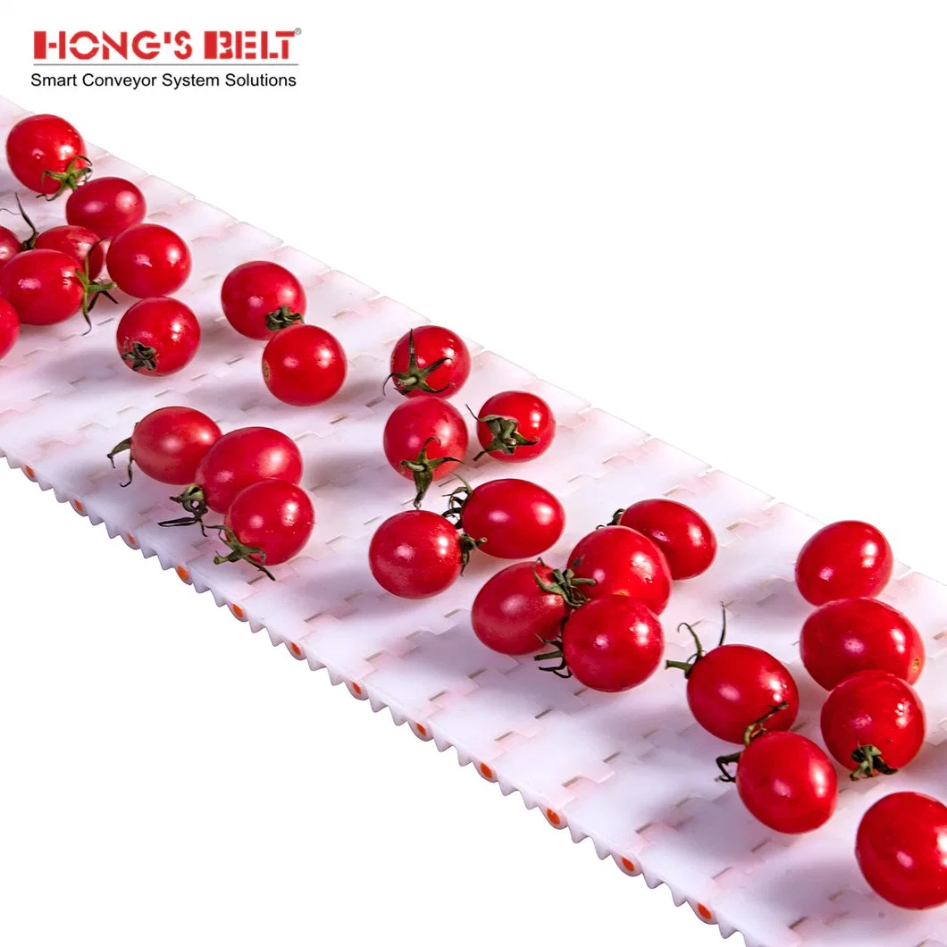 Hongsbelt Flat Top Conveyor Modular Belt Plastic Modular Belt for Food Fruit Vegetables Industry