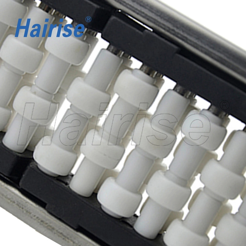 Plastic Conveyor Neck Guides Rail with Roller (Har610-2) with FDA&amp; Gsg Certificate