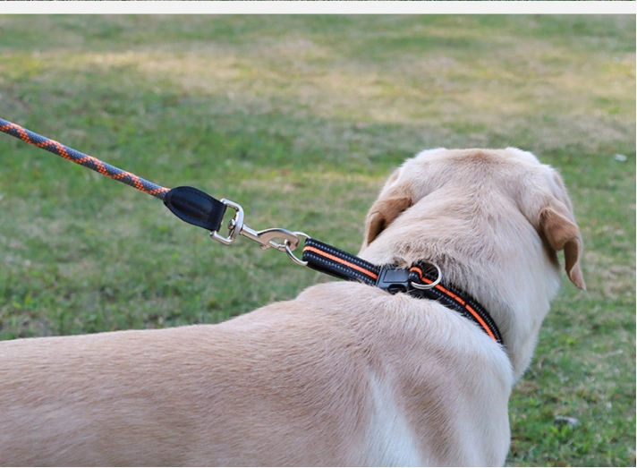 Pet Supplies Big Dog Collar Double D Ring Dog Collar
