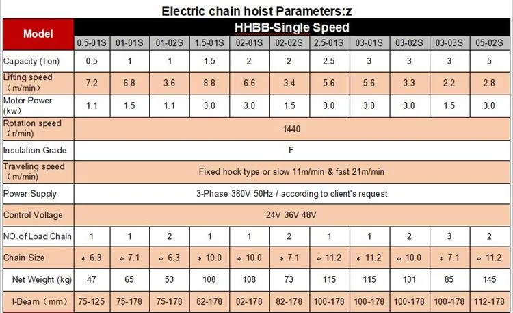 Strong Transporting Electric Chain Hoist with Low Price