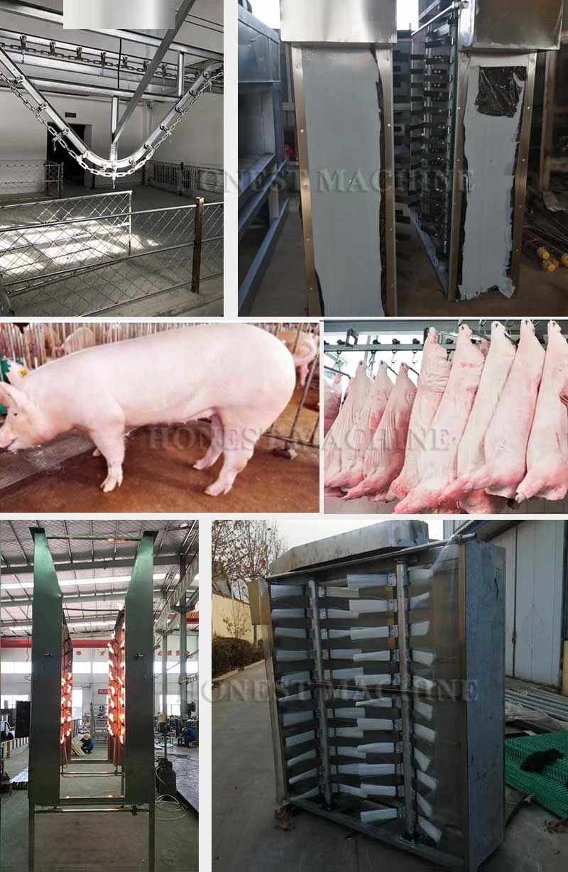 High Productivity Slaughter Equipment / Pig Hair Removal Machine / Slaughtering Machine