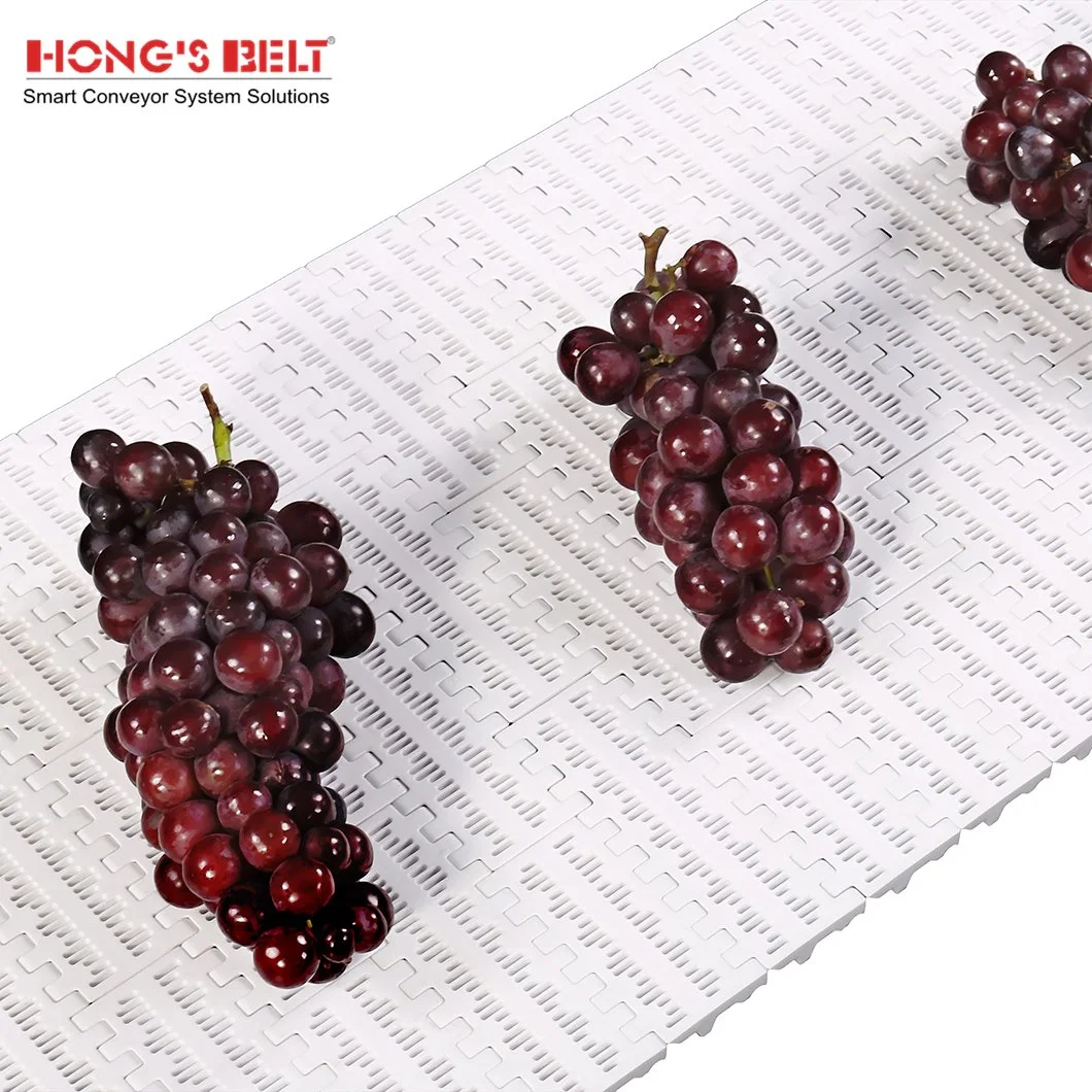 Hongsbelt HS-100b-HD-N Flush Grid Modular Plastic Conveyor Belt Easy Clean Fruit Conveying Belt