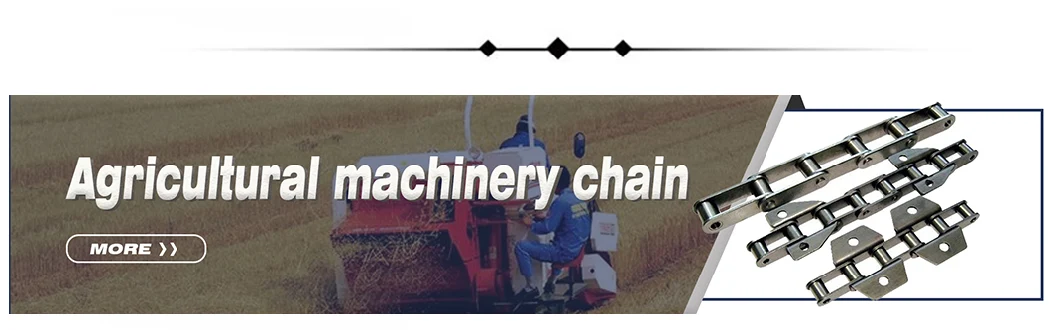 Heavy Type Double Pitch Transmission Conveyor Chain Double Plus Roller Chains