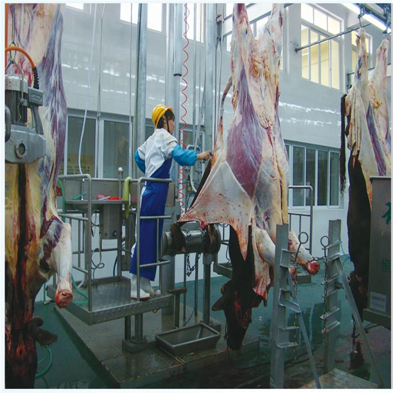 Cattle Bovine Beef/Slaughtering Equipment/Food Machine