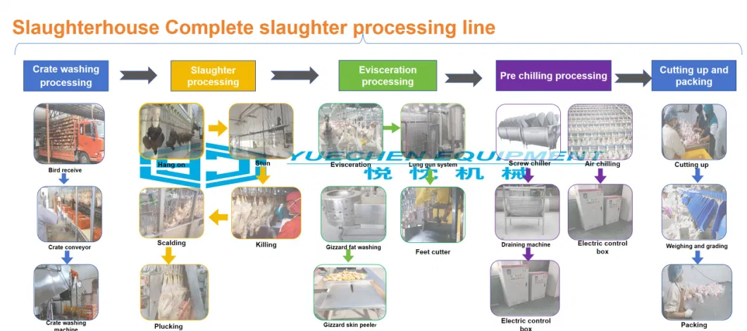 Auto Halal Poultry Farm Equipment Chicken Slaughtering /Slaughter Line/Plucker Machine