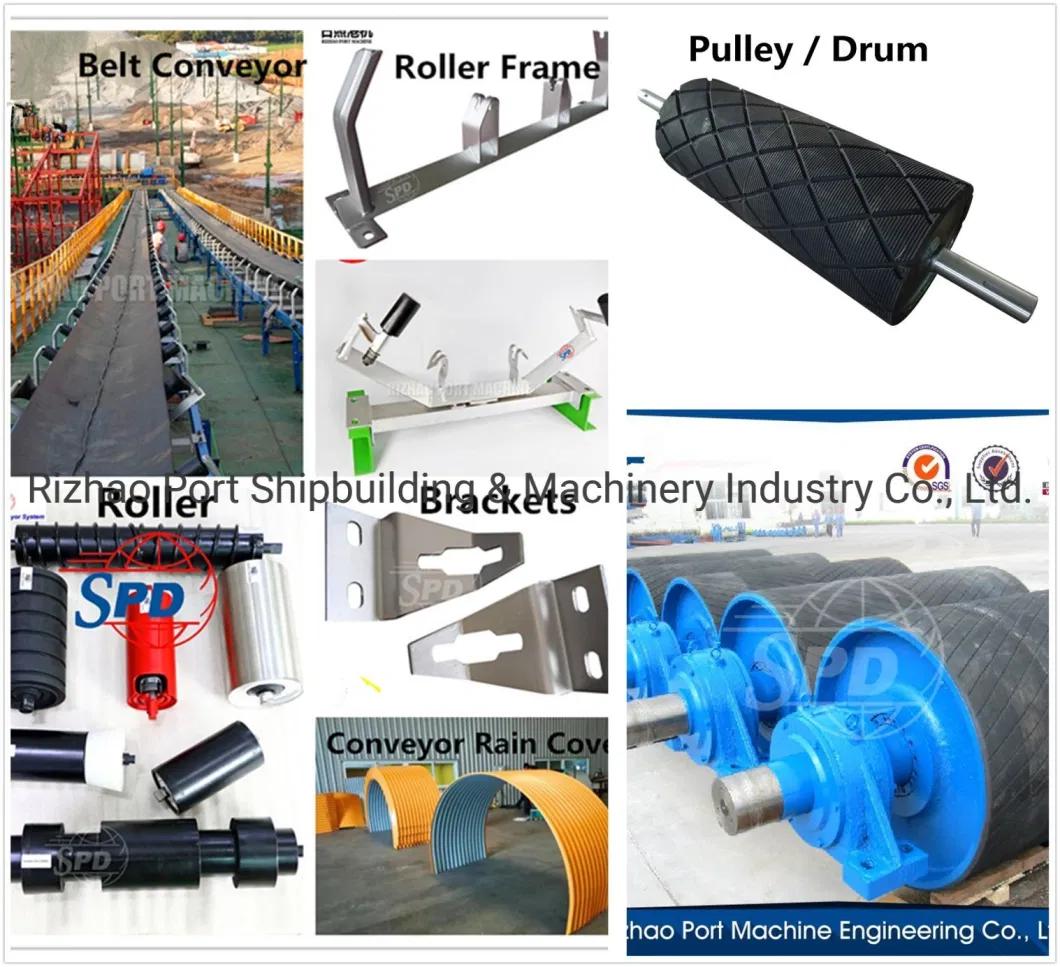 JIS/DIN Standard Conveyor Manufacturer for Grain Transport